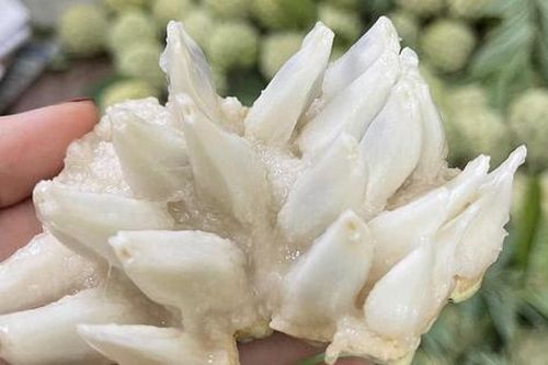 Loại quả 'mở mắt' trước ít ai ''ngó' nay về phố giá đắt đỏ vẫn có người mua