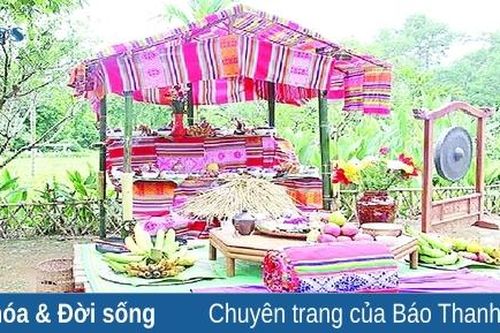Lễ cúng vía lúa của cư dân nông nghiệp tỉnh Thanh