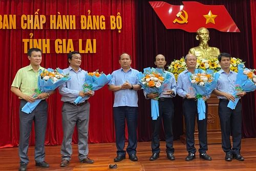 Gia Lai biểu dương 5 tổ chức cơ sở Đảng tiêu biểu tại các đơn vị kinh tế tư nhân