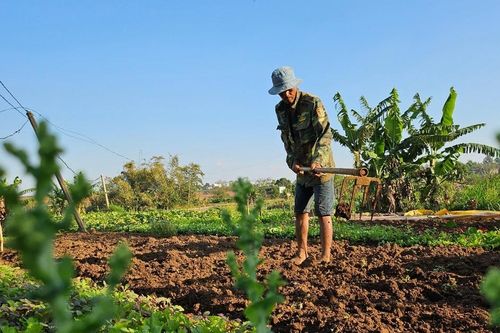 Dự báo, cảnh báo thời tiết trong tháng 8 trên địa bàn tỉnh Gia Lai