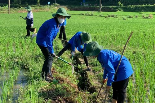 Ngày Chủ nhật xanh ý nghĩa