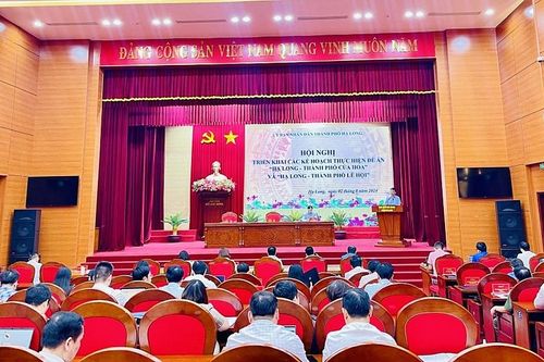 Trên 300 tỷ đồng thực hiện Đề án 'Hạ Long - Thành phố của hoa'