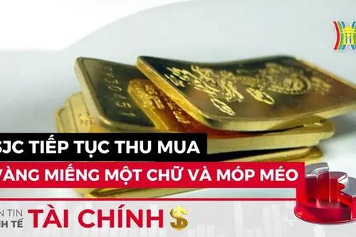 Bản tin Kinh tế Tài chính | 03/08/2024