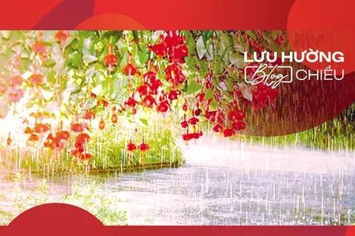 Mưa mùa hạ