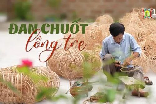 Đan chuốt lồng tre | Nghệ nhân Hà Nội | 03/08/2024