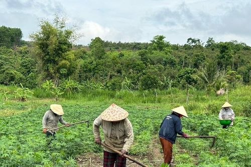 Phú Yên: Triển khai các mô hình kinh tế giúp các hộ nghèo phát triển giai đoạn 2024-2029