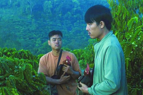 Điện ảnh Việt: Có bệ đỡ, sẽ vươn xa