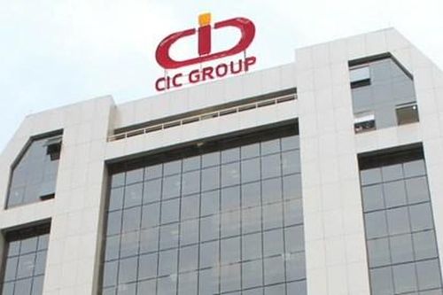 CIC Group (CKG) lợi nhuận giảm 56%, nợ vay cao áp đảo vốn chủ sở hữu