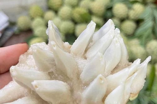 Na Việt giá đắt 250.000 đồng/kg, nho Trung Quốc chỉ 20.000 đồng/kg