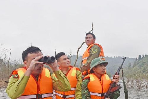 Hà Tĩnh ngày càng kiểm soát tốt tình trạng vi phạm Luật Lâm nghiệp