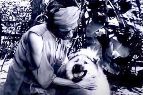 Hiền ơi thầy đây!