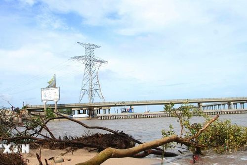 Bạc Liêu: Sạt lở trên tuyến đê Biển Đông ngày càng nghiêm trọng