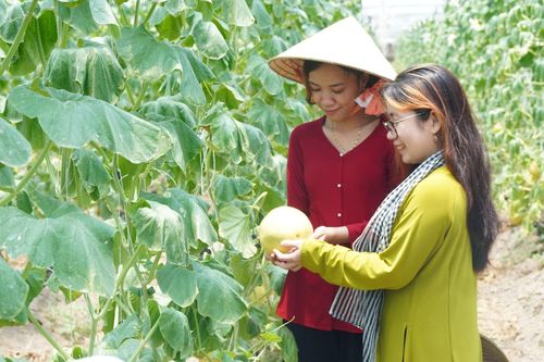 TP Hồ Chí Minh: Vận động sáng tác lời mới thơ ca - lý - hò - vè về nông thôn mới