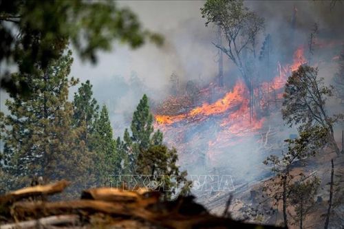 Thời tiết khô nóng gây khó khăn cho công tác dập lửa tại bang California
