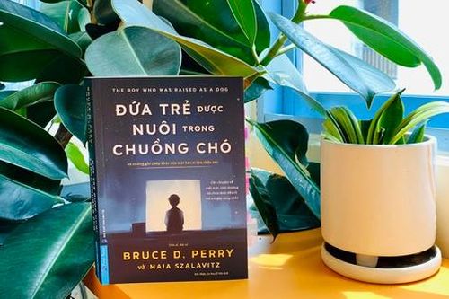 Cách 'chữa lành' cho trẻ bị sang chấn tâm lý