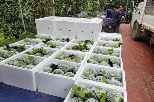 Khánh Vĩnh: Phát huy vai trò của doanh nghiệp ở vùng đồng bào dân tộc thiểu số