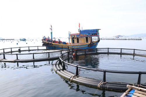 Tiến ra biển lớn - Kỳ 2: Chuyển đổi để tăng trưởng xanh