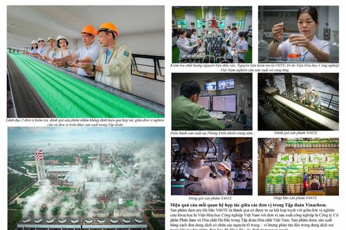 Gần 400 tác phẩm tham gia Cuộc thi 'Nét đẹp Vinachem'