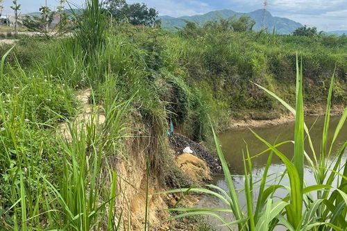 Quảng Ngãi: sạt lở bờ sông đe dọa cuộc sống người dân