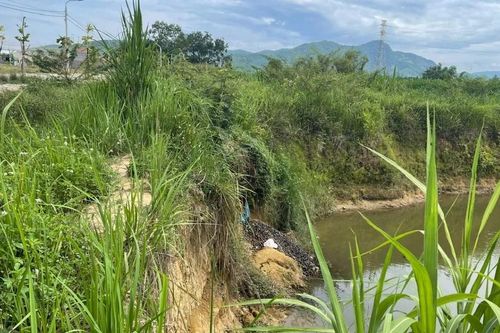 Người dân bất an trước sạt lở bờ sông Phước Giang