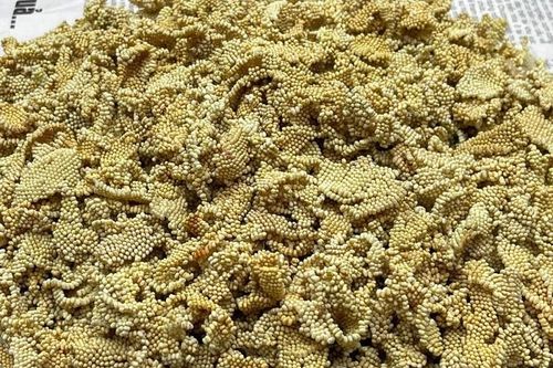 Tận mục loại trứng 'đắt nhất Việt Nam', chục triệu vẫn tranh nhau mua
