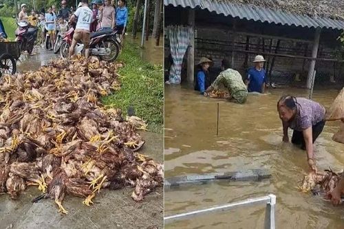 Ấm tình người trong mưa lũ ở Yên Bái
