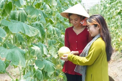 Phát động Cuộc thi sáng tác thơ ca - lý - hò - vè về nông thôn mới
