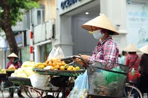 Làm gì để lao động nữ tự do 'mặn mà' với bảo hiểm xã hội?