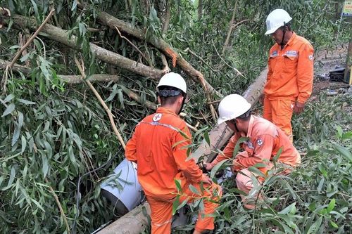 Ngành điện miền Nam cảnh báo nguy cơ mất an toàn điện mùa mưa bão