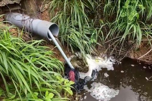 Người dân Ia Piơr kêu cứu về tình trạng ô nhiễm các trại heo