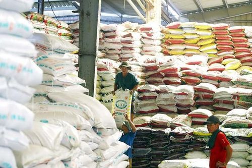 Ngành phân bón 10 năm không chịu thuế VAT: Lợi - thiệt cho ai?