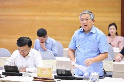Công ty Cổ phần Tập đoàn Thái Dương khai thác trái phép đất hiếm