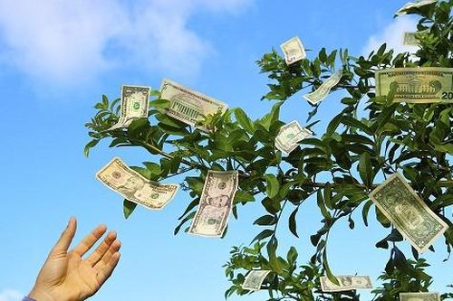 Cổ đông Dược Hậu Giang, Bất động sản An Gia, Cơ khí An Giang… chuẩn bị nhận cổ tức lên tới 50%