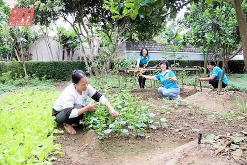 Phụ nữ lan tỏa 'lối sống xanh'