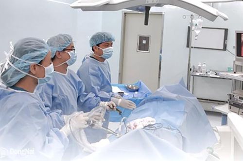 Triển khai kỹ thuật nội soi kép điều trị sỏi đường mật
