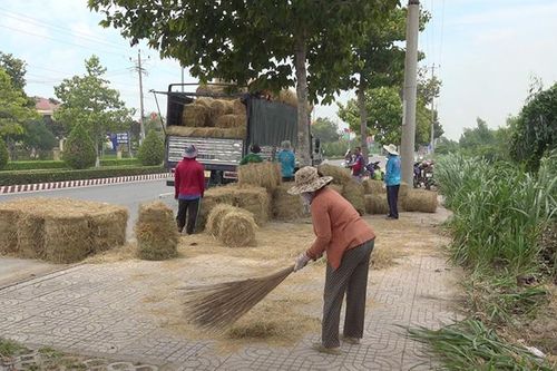 Người dân bán rơm có thêm thu nhập