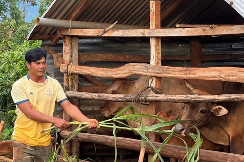 Bí thư chi bộ kiêm trưởng thôn Aron học và làm theo Bác