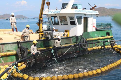 Tiến ra biển lớn - Kỳ 3: Mục tiêu xuất khẩu thủy sản vượt 1 tỷ USD