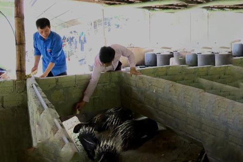 'Địa chỉ đỏ' của các hộ dân trên địa bàn
