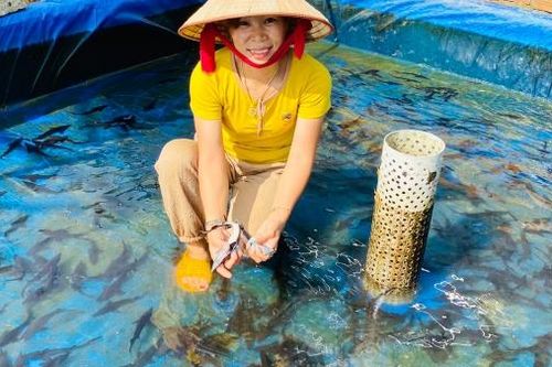 Cần chiến lược nuôi trồng thủy sản