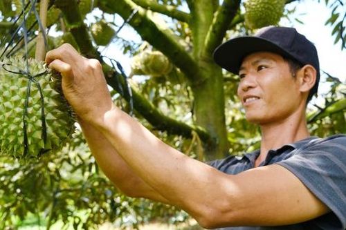 Khi người dân mạnh dạn chuyển đổi