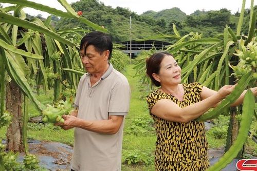 Nà Bó xây dựng nông thôn mới nâng cao
