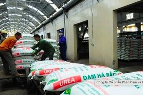 Kinh doanh dưới giá vốn, lợi nhuận sau thuế của DHB giảm sâu trong quý II