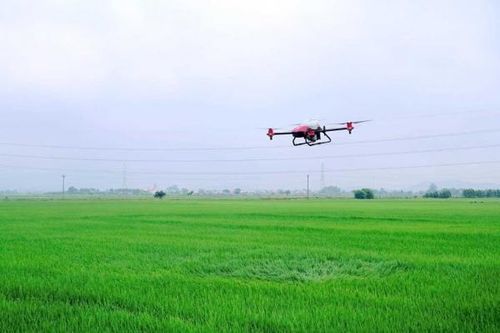 Quảng Ninh chi hơn 126 tỷ đồng đầu tư phát triển khoa học, công nghệ