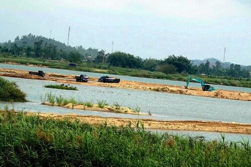 Quảng Ngãi: Nhiều chủ mỏ cát xin hủy kết quả trúng thầu vì tăng thuế