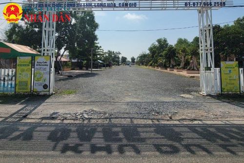 Hàng loạt sai sót trong chuyển đổi mục đích sử dụng đất tại huyện Cần Giờ, TP. Hồ Chí Minh