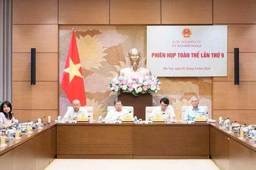 Ủy ban Đối ngoại họp phiên toàn thể lần thứ 9