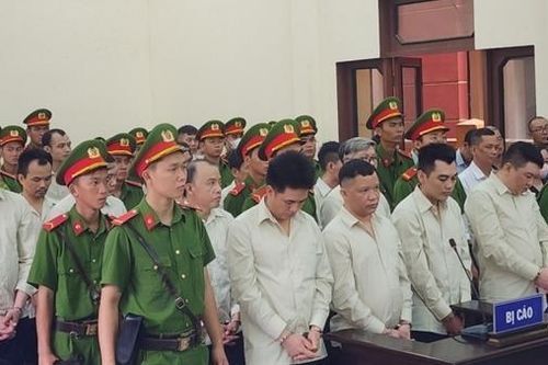 Tuyên án loạt nguyên cán bộ xã ở Tiền Giang vì giả mạo trong công tác