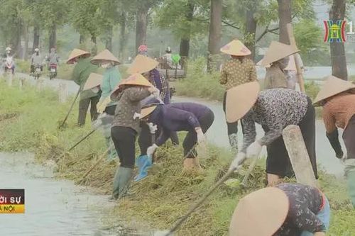Đời sống người dân vùng lũ dần ổn định trở lại