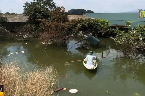 Người dân quay lại nhịp sống bình thường sau lũ